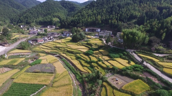 山村航拍延时梯田