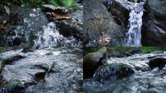 丛林山涧溪水