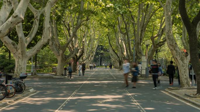 上海同济大学延时摄影