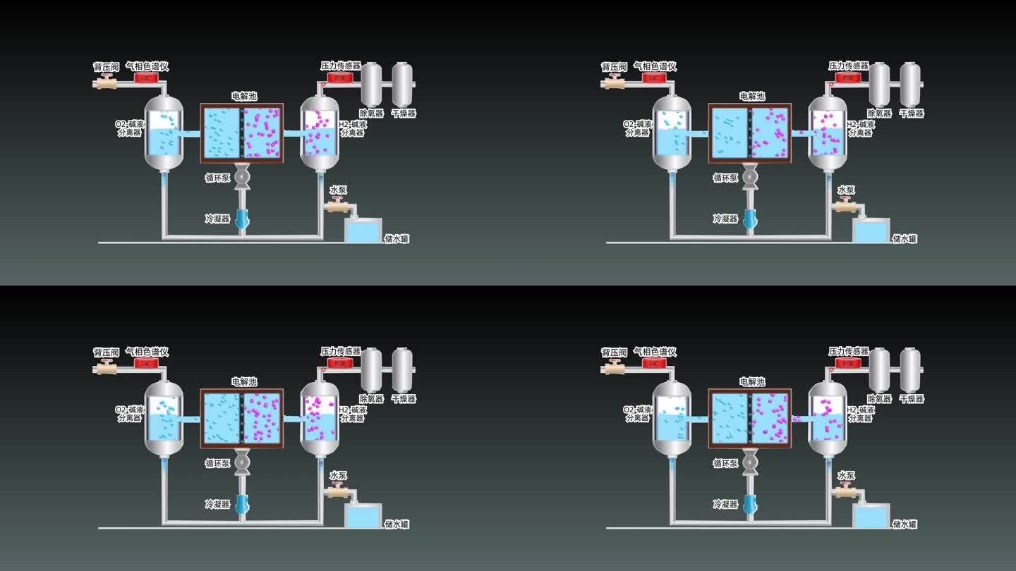 氢能源电解槽内部动态过程示意图