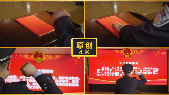 民警宪法宣誓宪法宪法誓词司法司法公正