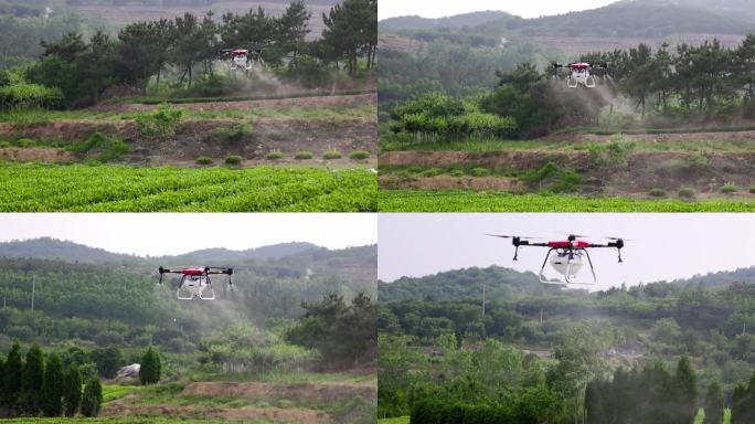 慢镜头升格植保无人机茶田茶场喷药
