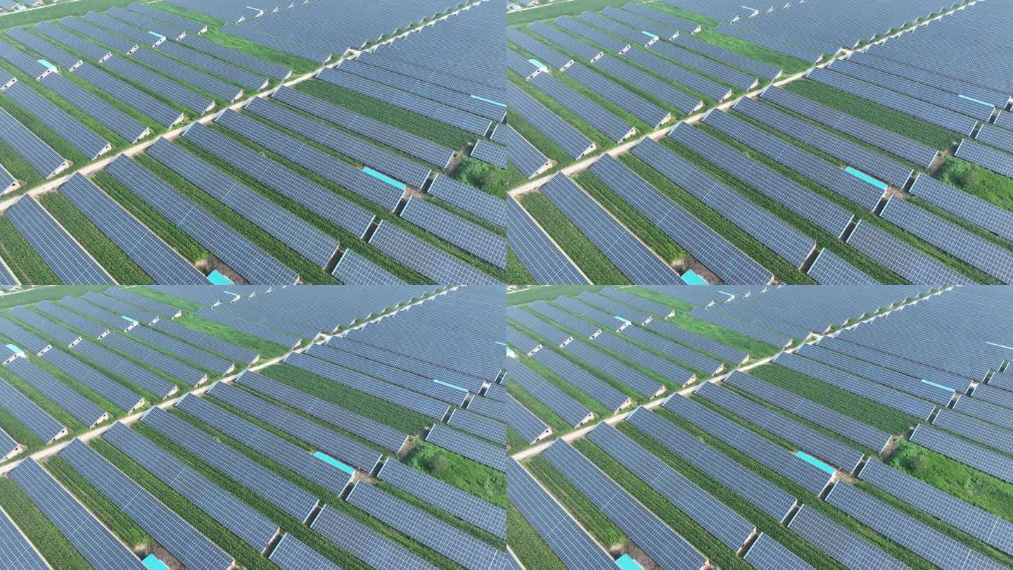 4K航拍养猪场屋顶光伏太阳能发电站