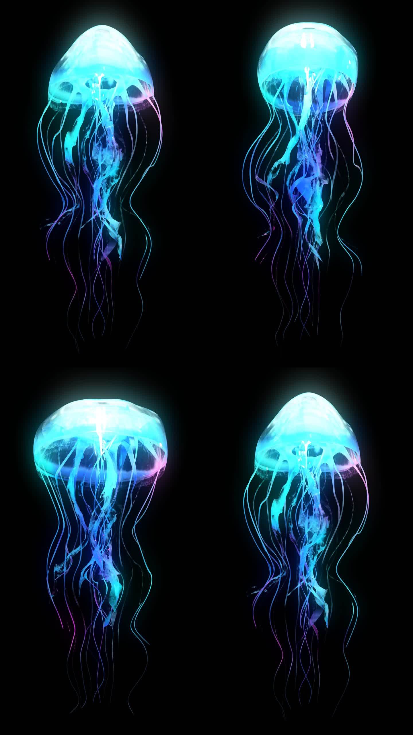荧光 水母
