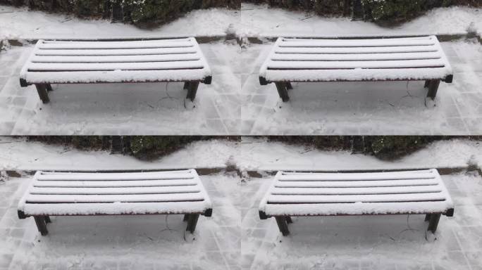 公园 绿地 长椅 落雪