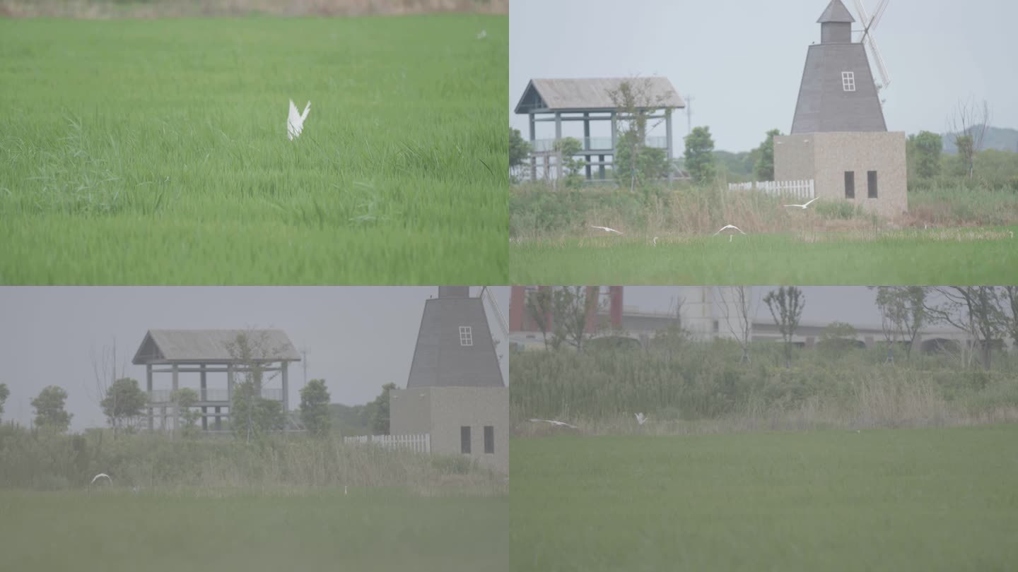 湖州吴兴区璐村白鹭鸟生态环境旅游景观风车