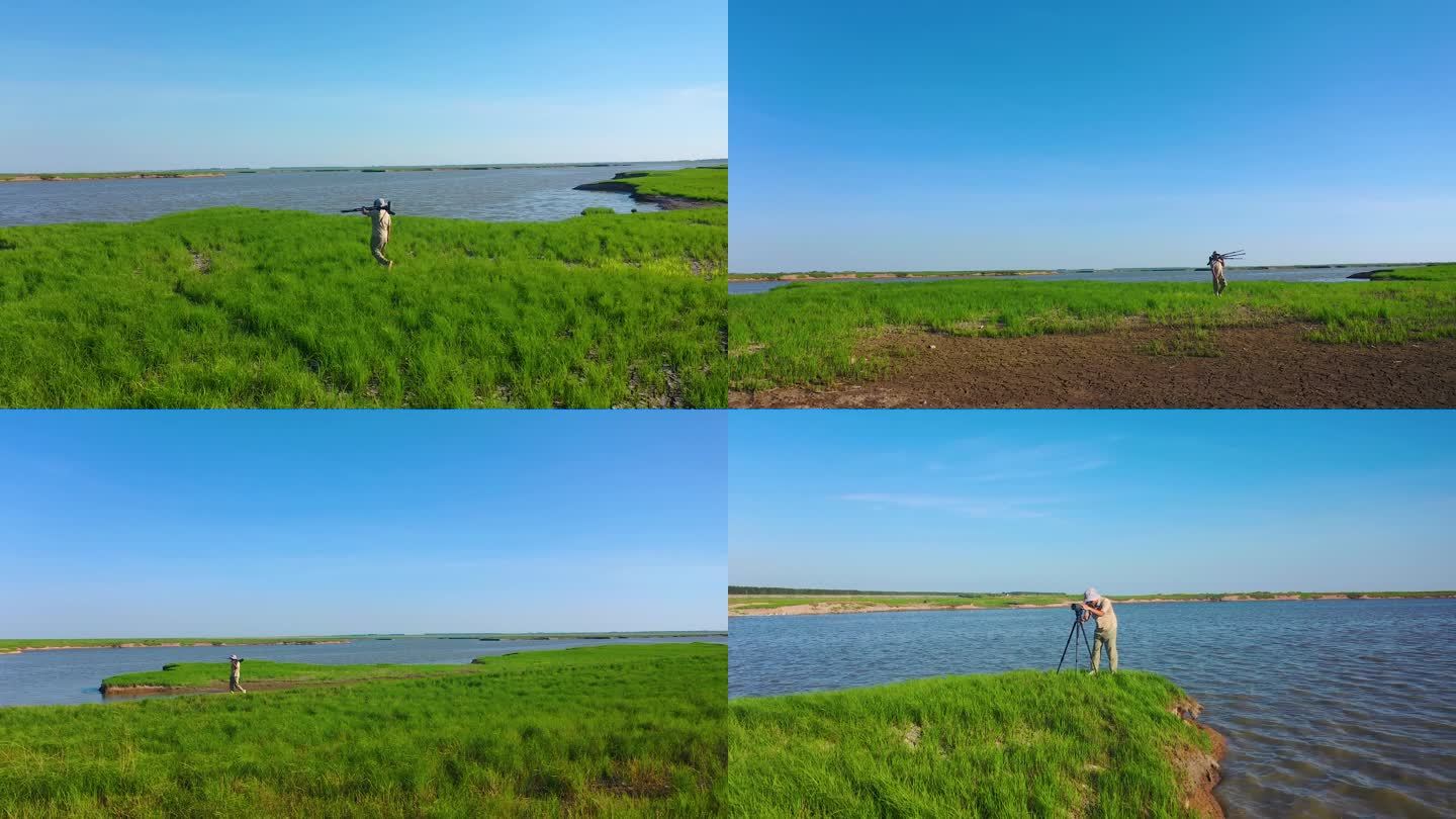 航拍岳阳洞庭湖麋鹿野生动物保护监测2