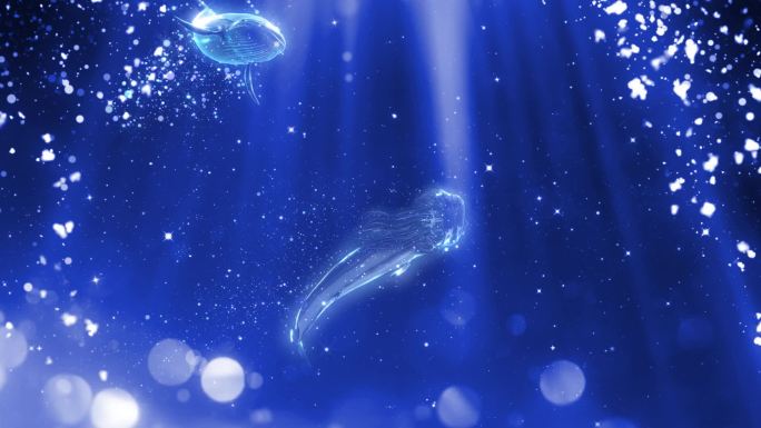 梦幻海洋粒子鲸鱼