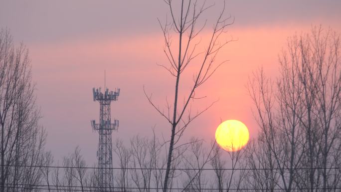 冬末春初的早晨一轮太阳从东方升起