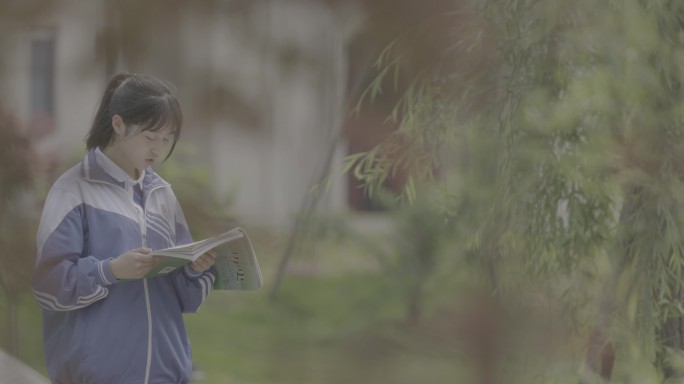 【4K灰度】中学女生室外晨读校园早读
