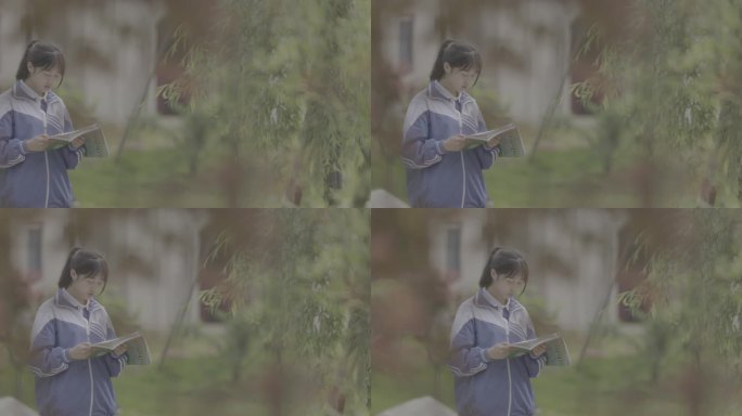 【4K灰度】中学女生室外晨读校园早读