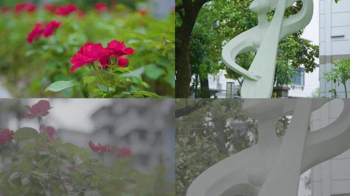 杭州临平梅堰社区老校区改造成果品雕塑花朵