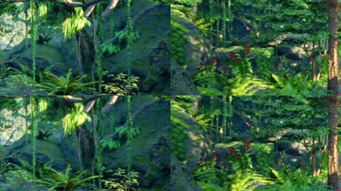 6K宽屏原始森林背景