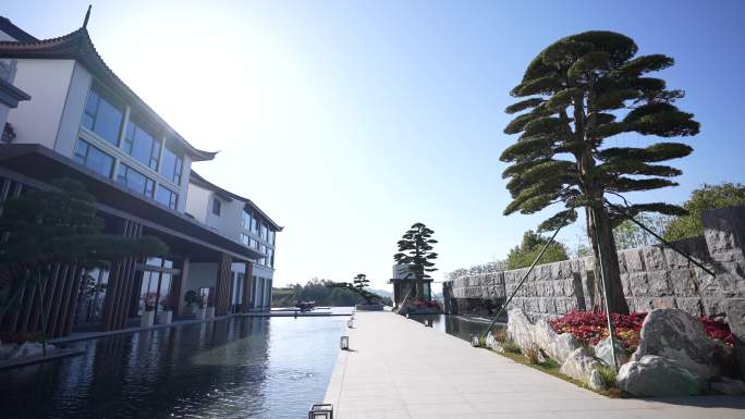 中式建筑庭院酒店民宿水系设计园林罗汉松