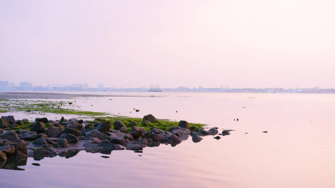 阳光海岸礁石绿苔