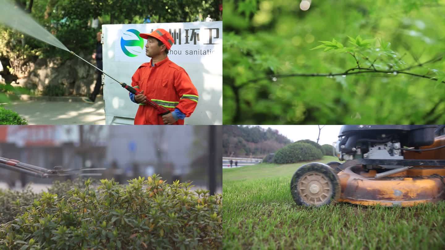 园林工人绿化环境修剪洒水除草城镇环境整治
