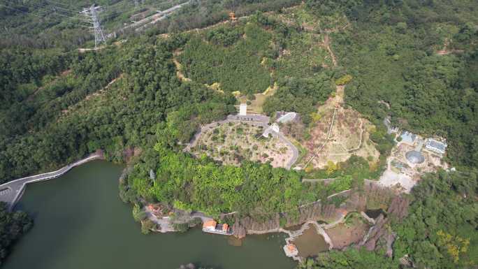 【正版素材】深圳仙湖植物园