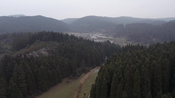 仙女山航拍旅拍森林旅行重庆