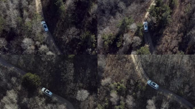 汽车路跑 行驶在树林里