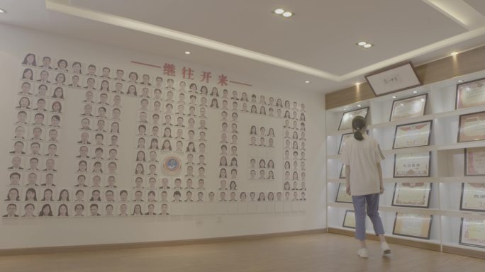 【4K灰度】学校荣誉墙文化墙