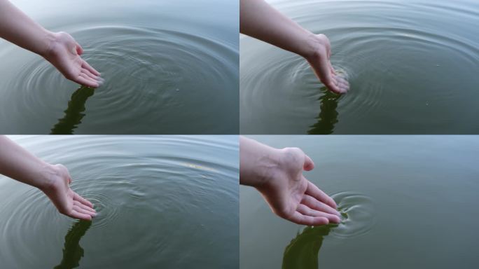 女性将手伸入水中舀水玩水特写水波纹涟漪