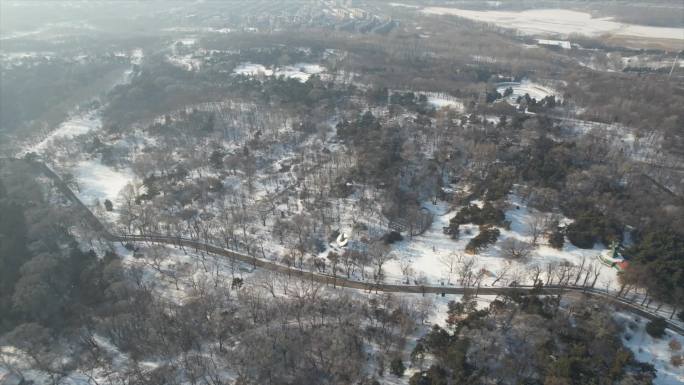 沈阳 世博园 雪景 雪滑梯航拍