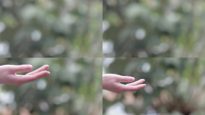 【4K】唯美女子手修长手指