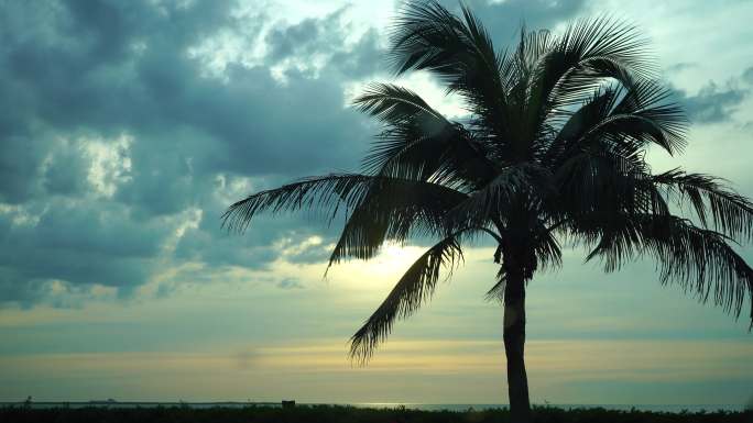 海边夕阳椰子树