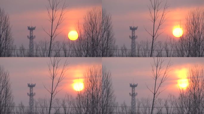春初早晨一轮太阳从东方缓缓升起鸟儿飞过