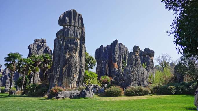 【正版素材】云南昆明石林2079