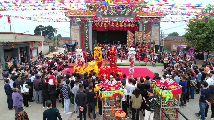 【正版素材】湛江年例 游神 航拍 4K