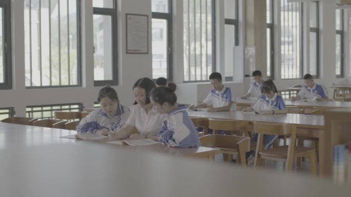 【4K灰度】中学生早自习看书学习