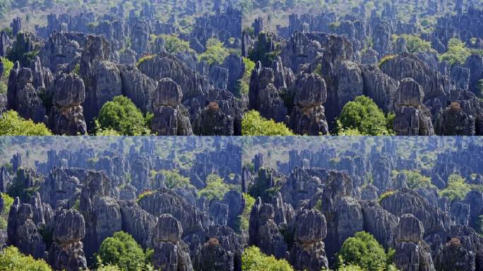 【正版素材】云南昆明石林2156