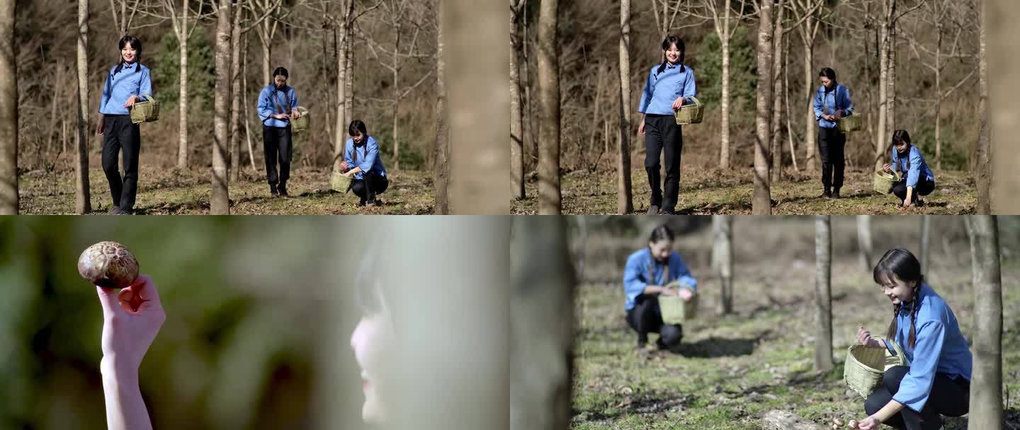 4K电影机升格实拍树林中采香菇的小姑娘
