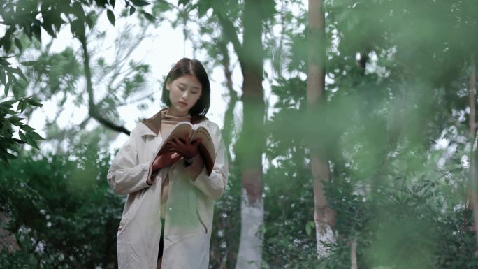 【4K】美女大学生树林晨读看书学习