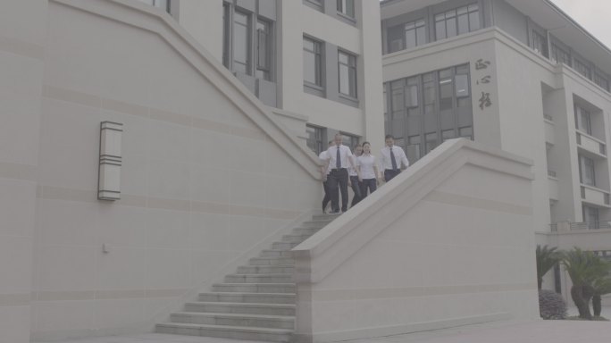 【4K灰度】教师团队走下台阶