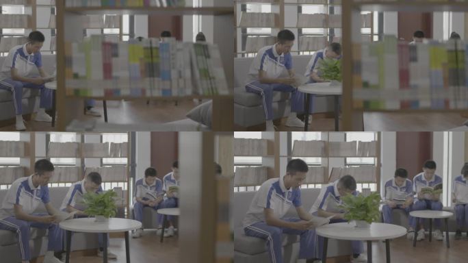 【4K灰度】高中生自习图书馆看书