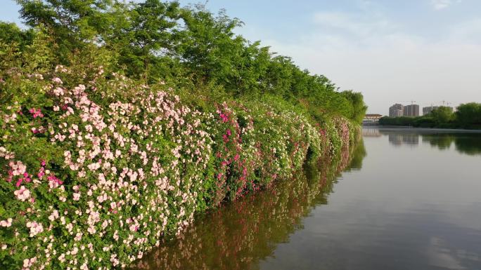 高清4k航拍  城市河道景观