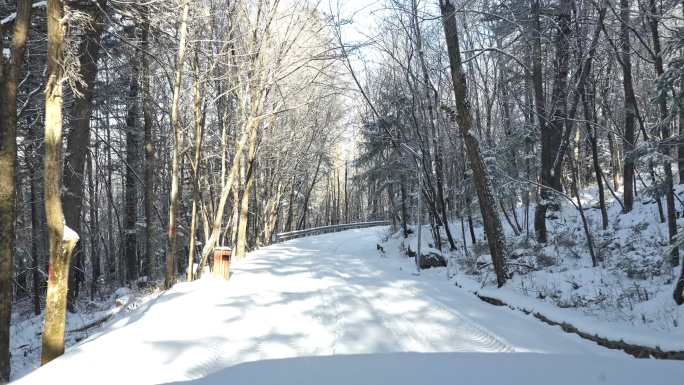 雪天森林开车穿越视频