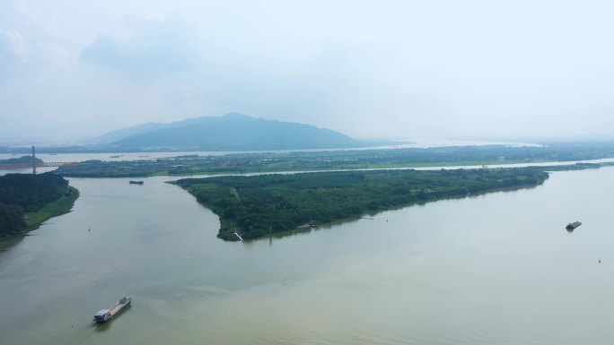 佛山三水河心岛老鸦洲