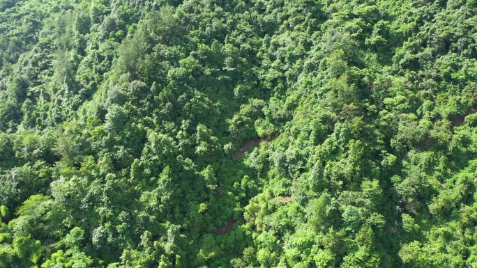 鹤峰 云层  阳光 航拍