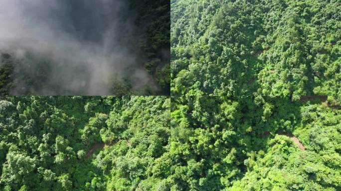 鹤峰 云层  阳光 航拍