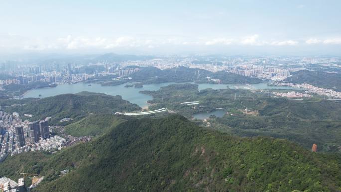 【正版素材】深圳东湖水库