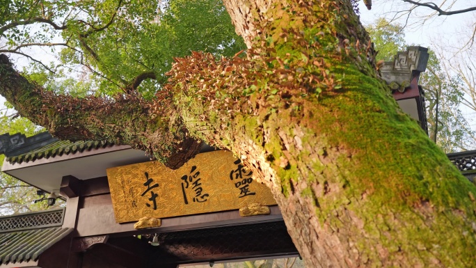 杭州灵隐寺