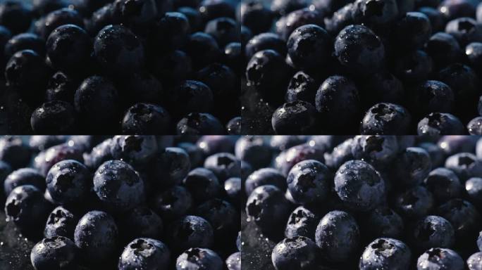 蓝莓摇光展示2