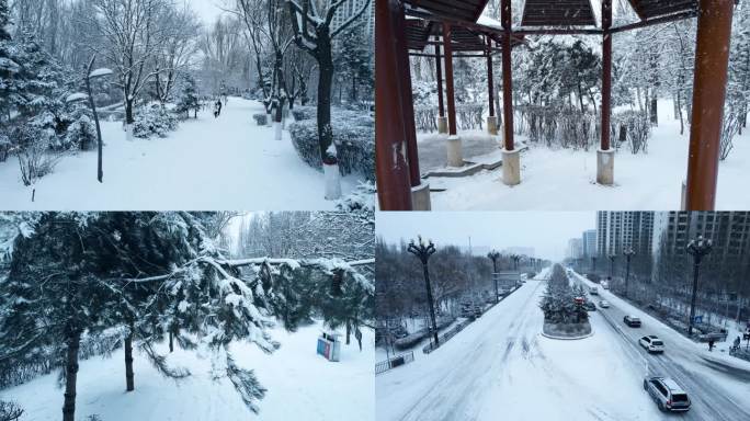 城市 雪景冬天公园