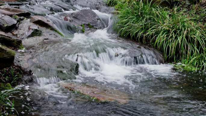 4K大自然小溪清澈流水延时大自然美景