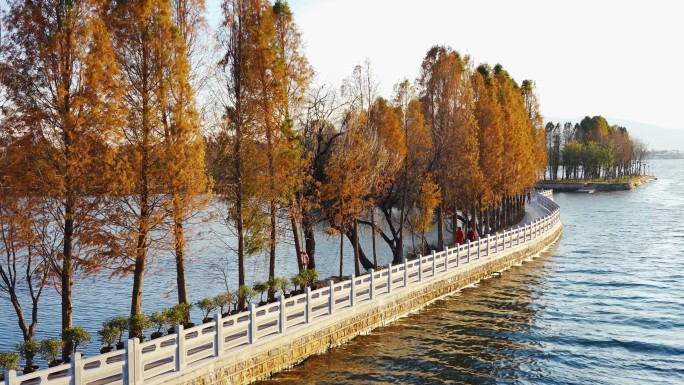 昆明大观公园秋冬风景