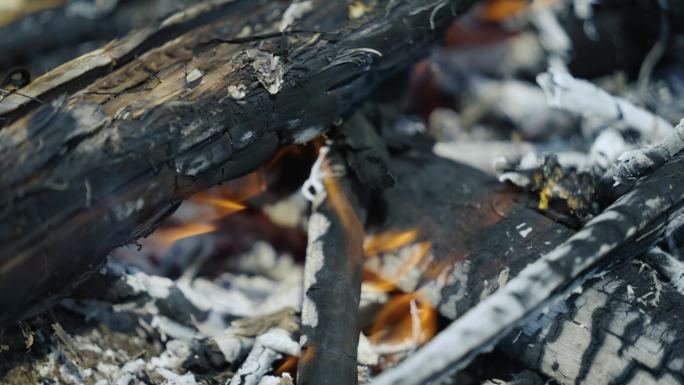 燃烧的木柴炭火堆