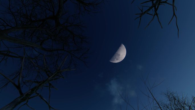 寂静夜晚枯树枝头月亮